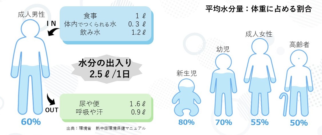 平均水分量：体重に占める割合