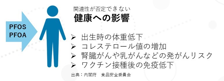 関連性が否定できない健康への影響　・出生時の体重低下　・コレステロール値の増加　・腎臓がんや乳がんなどの発がんリスク　・ワクチン接種後の免疫低下